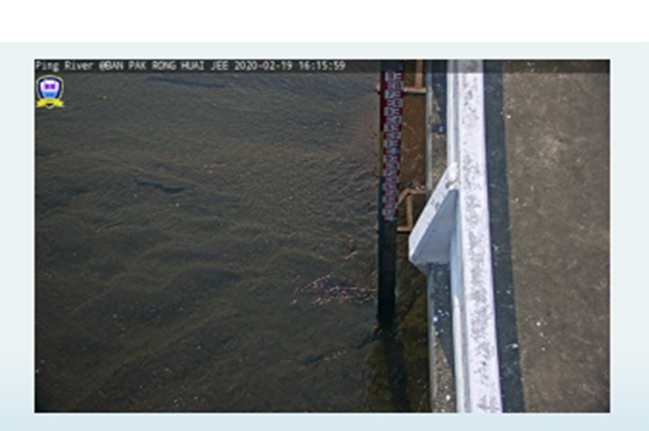 สะพานวังปลาหมู - image001